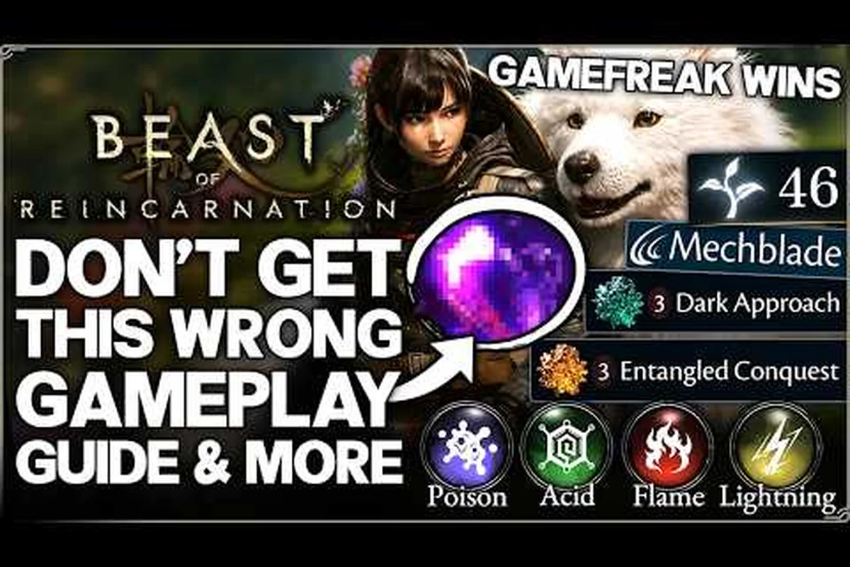 the game Beast of Reincarnation Beginner Guide: Master the Cycle
